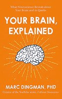 Your Brain, Explained: What Neuroscience Reveals about Your Brain and Its Quirks
