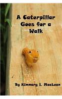 A Caterpillar Goes for A Walk
