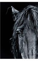 Magnificent Black Frisian Horse Portrait Journal