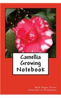 Camellia Growing
