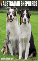 Just Australian Shepherds 2021 Wall Calendar (Dog Breed Calendar)