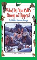 What Do You Call a Group of Hippos?