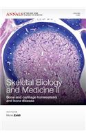 Skeletal Biology and Medicine II
