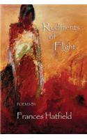 Rudiments of Flight