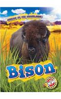 Bison: (Animals of the Grasslands)