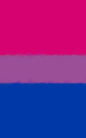 Bisexual Pride Flag Sketchbook