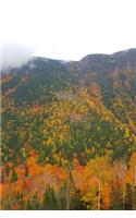Fall Colors 2020 Daily Planner Clouds Hang Over Mountain Foliage 388 Pages