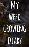 My Weed Growing Diary