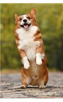 Cute Corgi Notebook