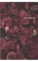 Notebook: Brown Leafed Plants Blank Lined Blush Notes Journal 6x9 Inches 100 Pages