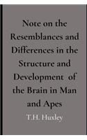 Note on the Resemblances and Differences in the Structure and Development of the Brain in Man and Apes