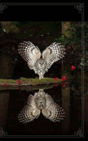 Owl On The Water Lined NoteBook