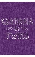 Grandma of Twins: Journal, Notebook, Diary or Sketchbook with Dot Grid Paper