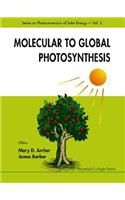 Molecular to Global Photosynthesis