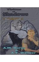 Visions of Shadows