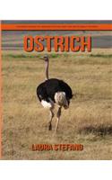 Ostrich