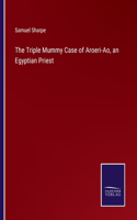 The Triple Mummy Case of Aroeri-Ao, an Egyptian Priest
