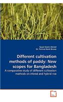 Different Cultivation Methods of Paddy