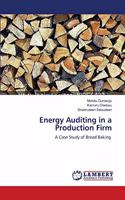 Energy Auditing in a Production Firm