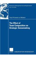 Effect of Team Composition on Strategic Sensemaking