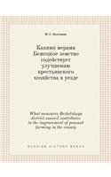 What measures Bezhetskaya district council contributes to the improvement of peasant farming in the county