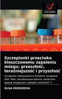 Szczepionki przeciwko kleszczowemu zapaleniu mózgu: przeszlo&#347;c, tera&#378;niejszo&#347;c i przyszlo&#347;c