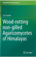 Wood-Rotting Non-Gilled Agaricomycetes of Himalayas