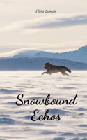Snowbound Echos