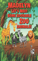 Madelyn Let's Meet Some Adorable Zoo Animals!: Personalized Baby Books with Your Child's Name in the Story - Zoo Animals Book for Toddlers - Children's Books Ages 1-3