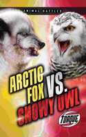 Arctic Fox vs. Snowy Owl