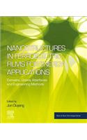 Nanostructures in Ferroelectric Films for Energy Applications