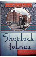 Sherlock Holmes: The Hidden Years