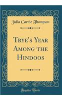 Trye's Year Among the Hindoos (Classic Reprint)