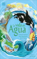 Vida del Agua (Water Cycles)