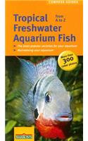 Tropical Freshwater Aquarium Fish A to Z