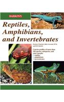 Reptiles, Amphibians and Invertebrates