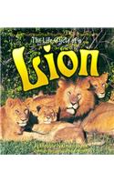 The Life Cycle of a Lion