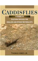 Caddisflies