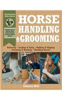Horse Handling & Grooming