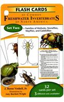 Flash Cards of Common Freshwater Invertebrates of North America: Set Two: Families of Mollusks, Stoneflies, Mayflies, and Caddisflies