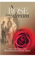 Rose from a Dream