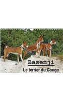 Basenji Le Terrier Du Congo 2018