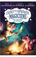 L' École Des Apprentis Magiciens: N°4 - Une Nuit Chez Les Dragons