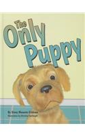 Only Puppy