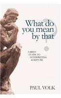 What Do You Mean By That?: A Brief Guide to Interpreting Scripture