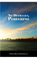 No Desmayes, Peregrino