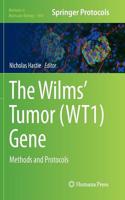 The Wilms' Tumor (WT1) Gene