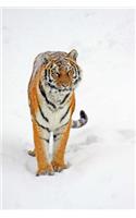 MindBlowing Cute Big Cats Journal 15: 150 page lined wild cat journal