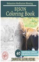 Bison Coloring Book for Adults Relaxation Meditation Blessing: Sketches Coloring Book 40 Grayscale Images