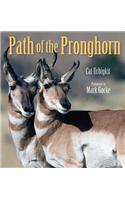 Path of the Pronghorn